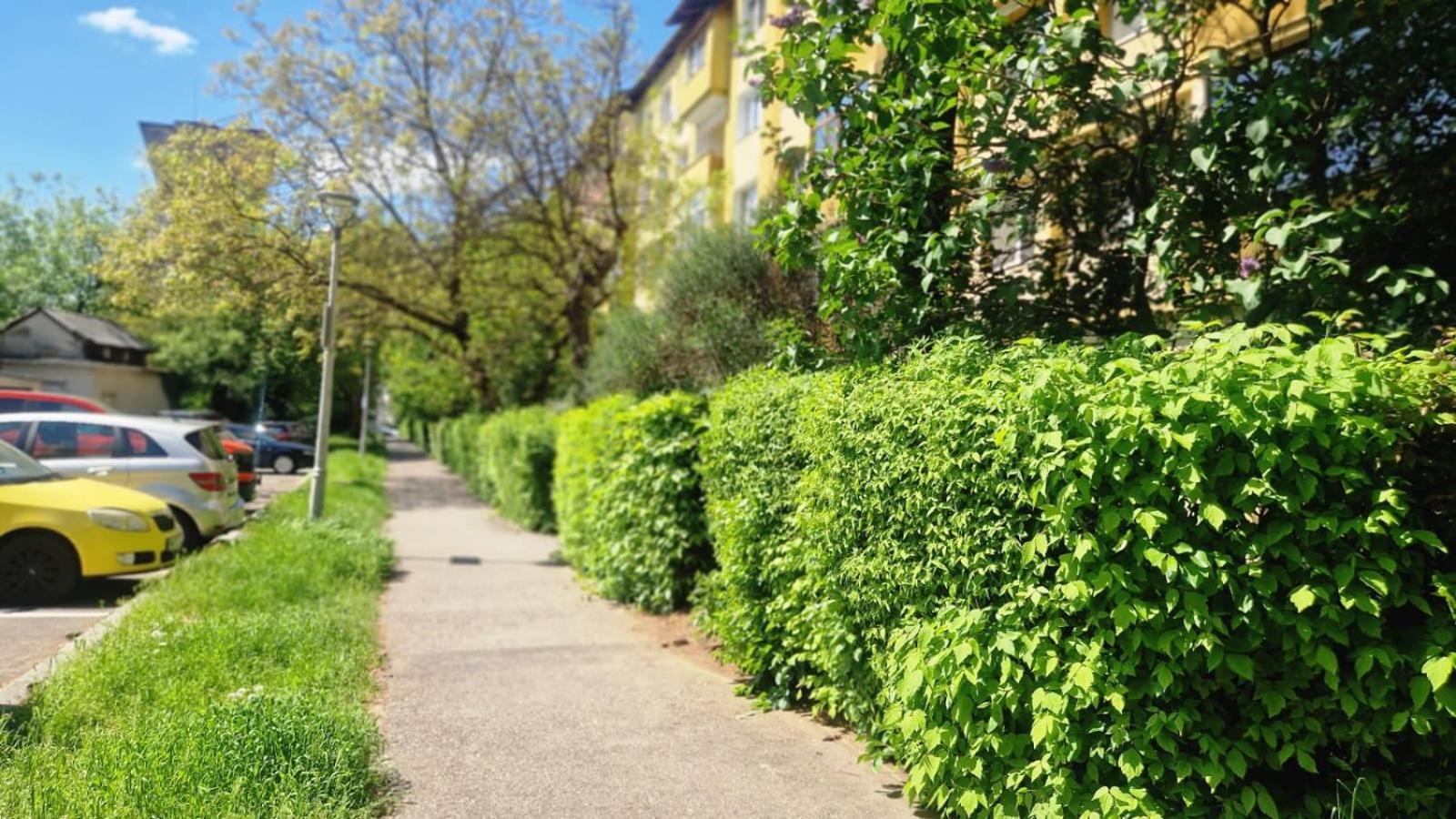University Apartment Baia Mare Luaran gambar